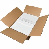 Case of 7 x 10 Plain Face Packing List - Side Loading Packing Envelope