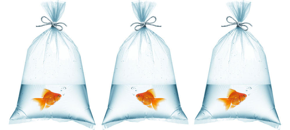 plastic fish bags tropical