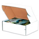 8 in x 8 in x 2.75 in White Deluxe Literature Mailers