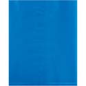 9 in x 12 in 2 mil Blue Poly Bags