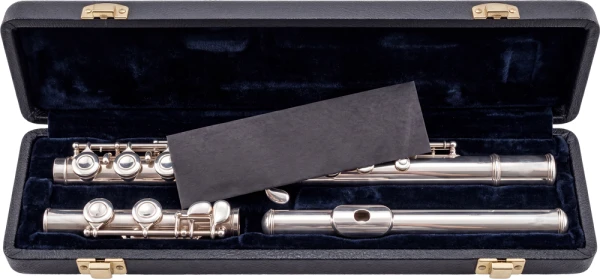 1000 pack Anti-tarnish strips 2 x 7 with Silver Flute Silver Flute Protected by a single Anti-tarnish Strip from a 1000 pack Anti tarnish paper 2 x 7