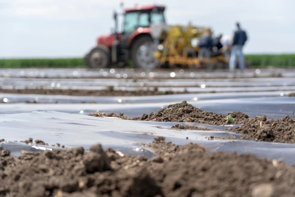 Black plastic sheeting being used for Agriculture Black plastic sheeting being used on Farm with Tractor