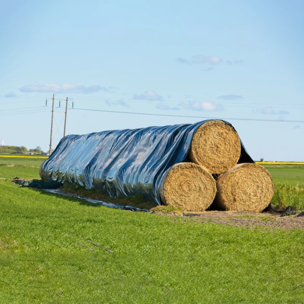 Black plastic sheeting covering haystacks in green field