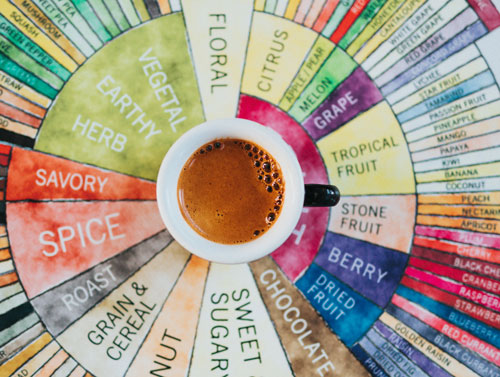 Coffee in cup with additional aspects of coffee flavor