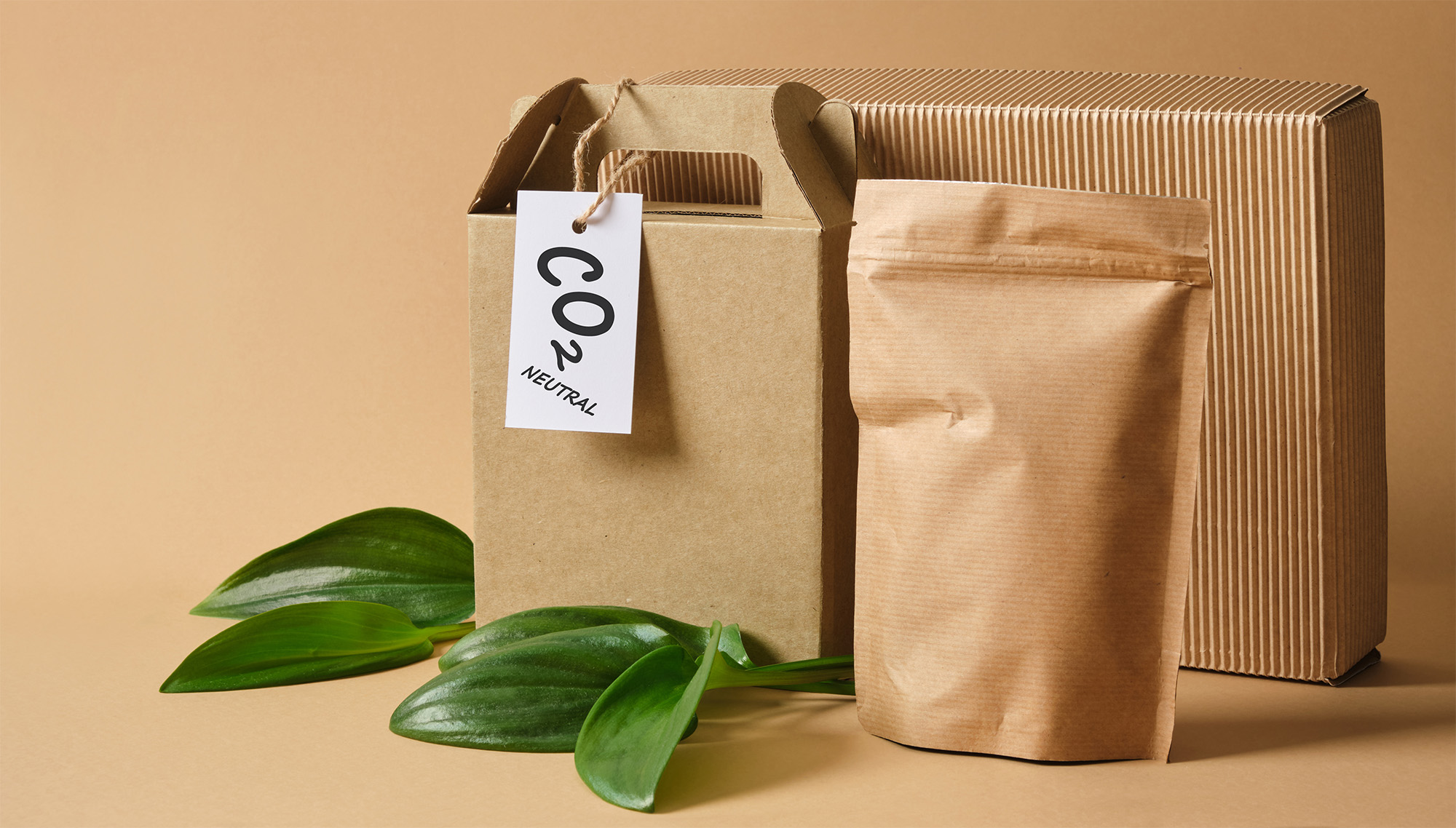 Sustainable Packaging