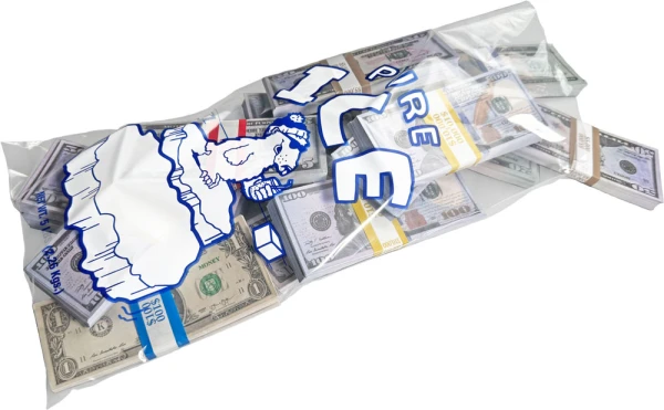 Make bags of money with your own ice bagging business