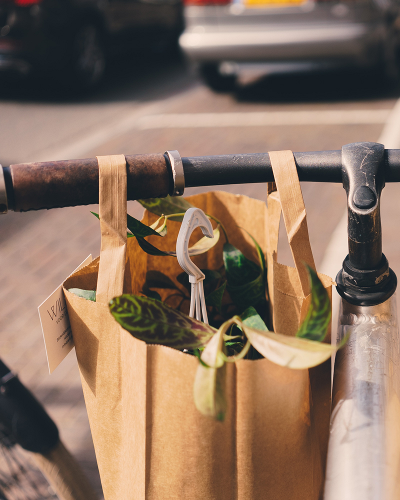 Improving the Grocery Store Experience with Durable and EcoFriendly