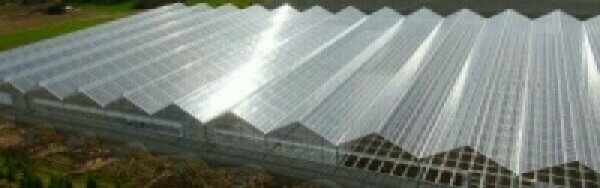 Row of Greenhouses