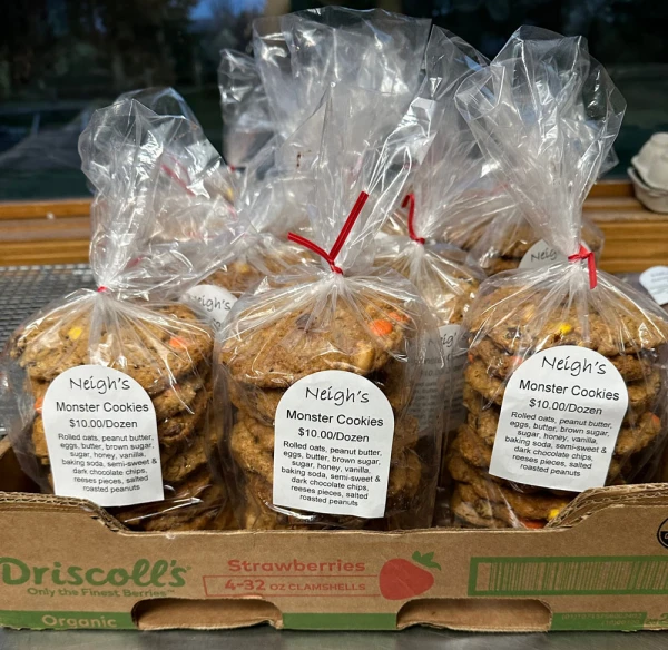 5 x 3 x 15 1 Mil Poly Bakery Bread Bags Cookies in 5 x 3 x 15 1 Mil Poly Bakery Bread Bags
