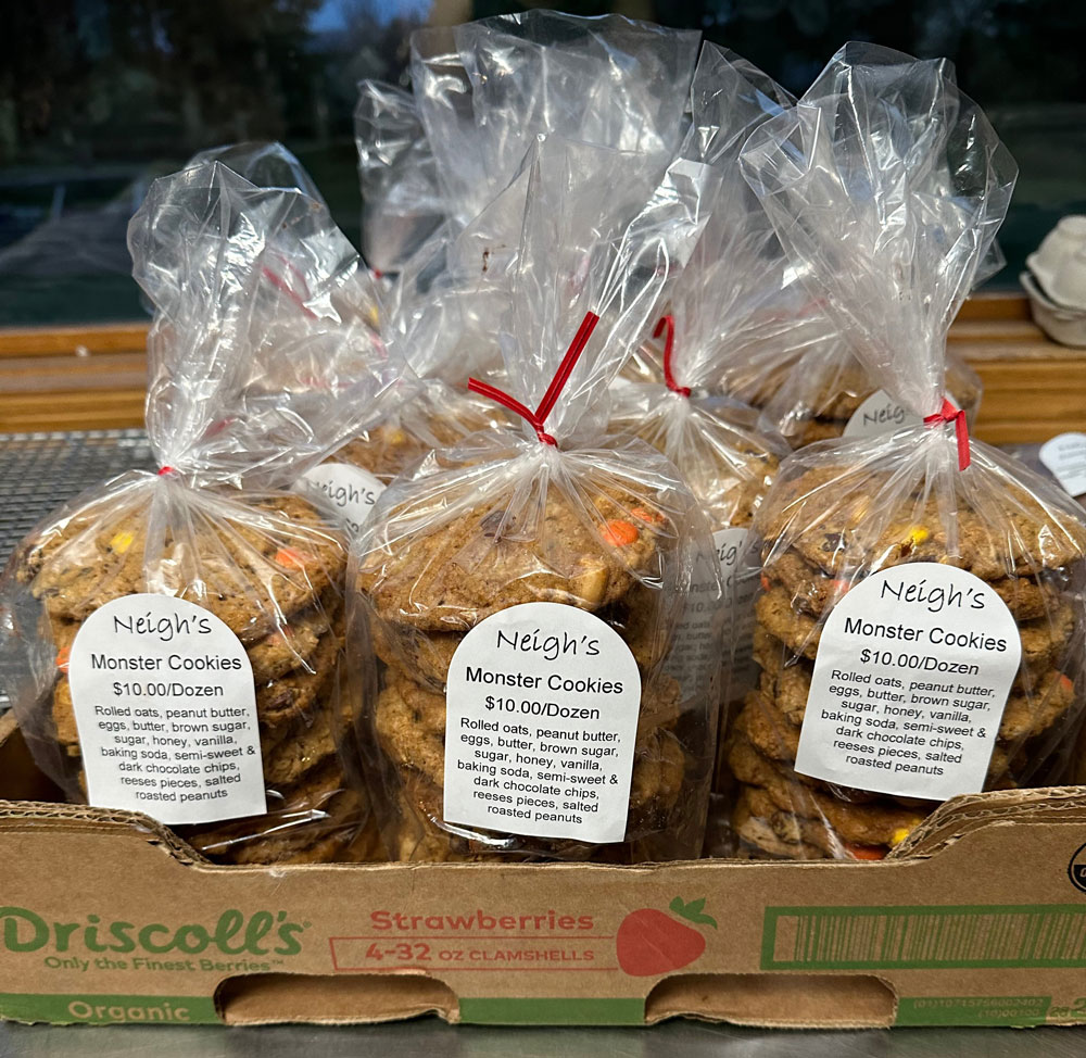 Cookies in 5 x 3 x 15 1 Mil  Poly Bakery Bread Bags