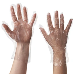 Plastic Food Service Gloves Plastic Food Service Gloves