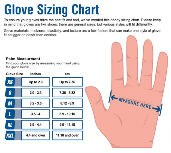 Ammex Clear Vinyl Glove Sizing Clear Disposable Vinyl Gloves - Polymer Coated Glove Sizing