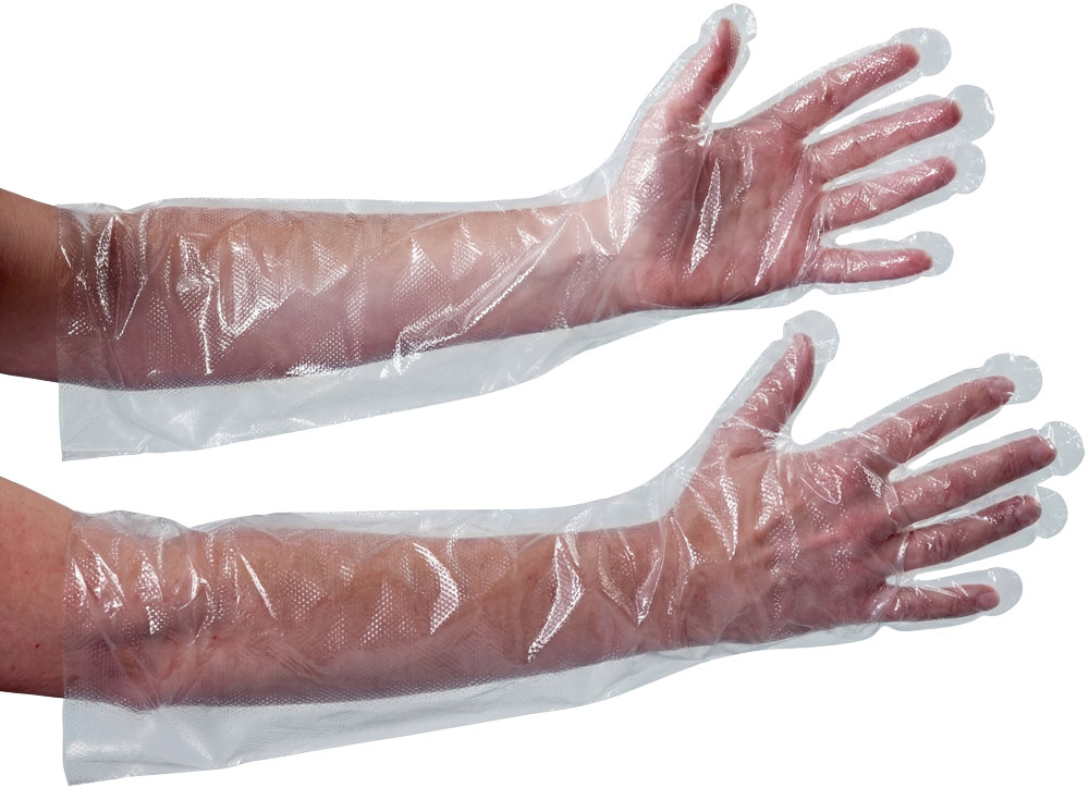 Elbow Length Clear Poly Food Service Gloves