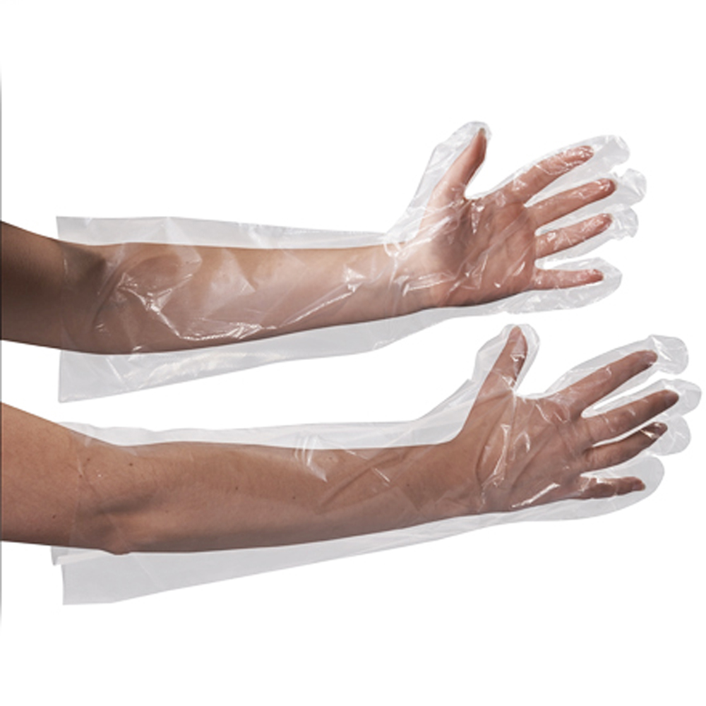 Food Prep Gloves