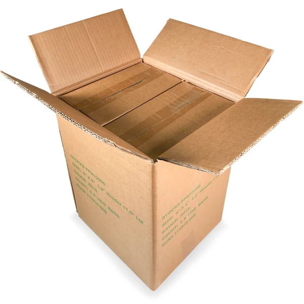 5 x 6 Retail Header Bag with Resealable Tape Master Case Master Case of 5 x 6 Retail Header Bag with Resealable Tape