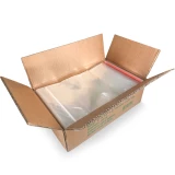 Case of 9 x 12 Retail Header Bag with Resealable Tape