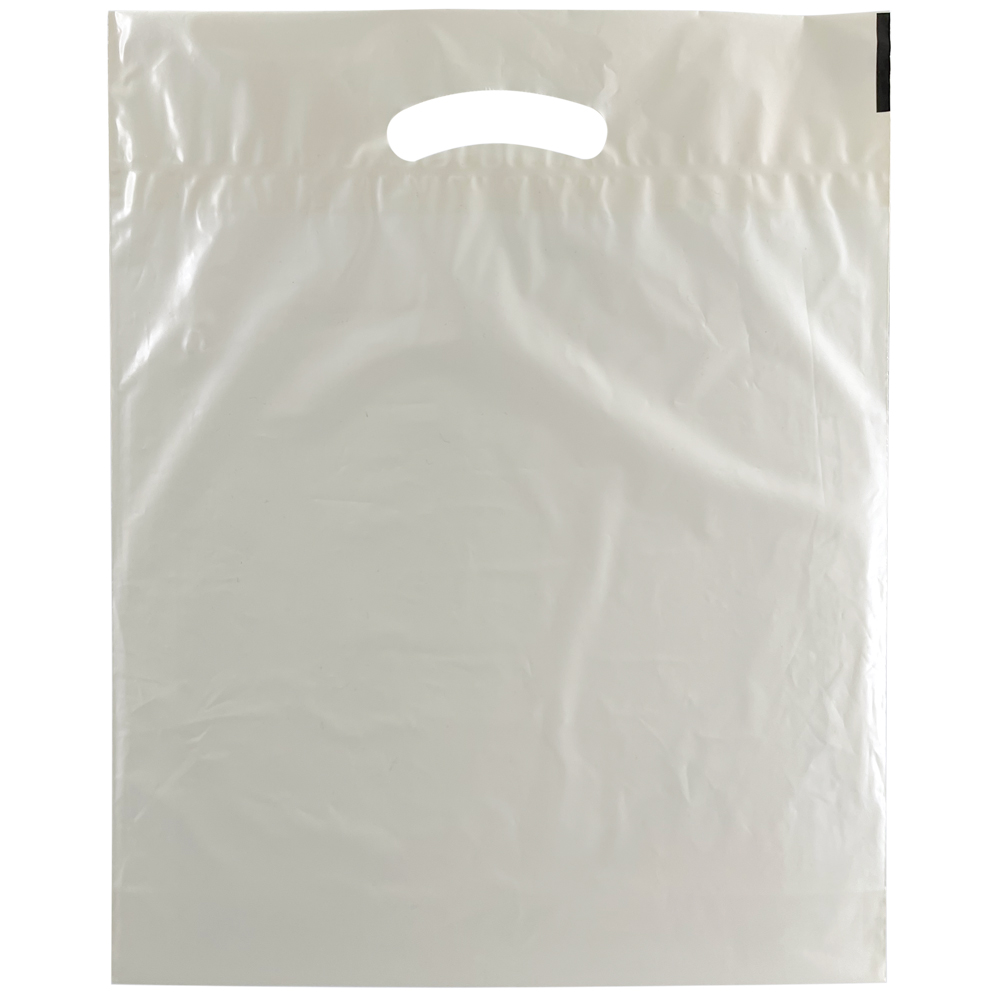 Autumn Pumpkin Bag Back