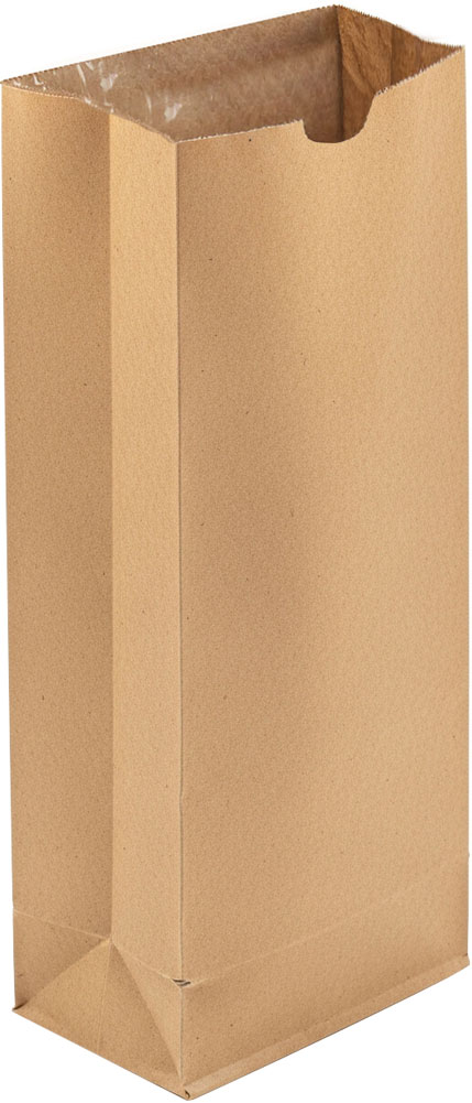 5 lb Paper Bag with Poly Liner - Paper Bag - Kraft