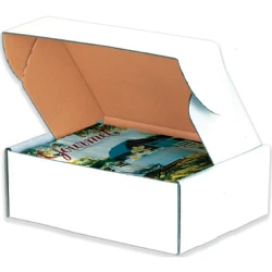 Deluxe Literature Mailer Deluxe Literature Mailer