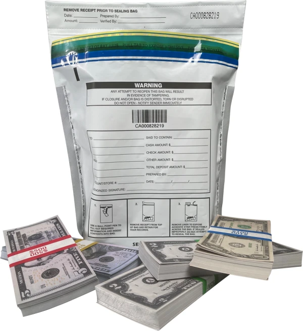 Secur-Pak Security Bag 9 x 12 Secur-Pak Security Bag 9 x 12