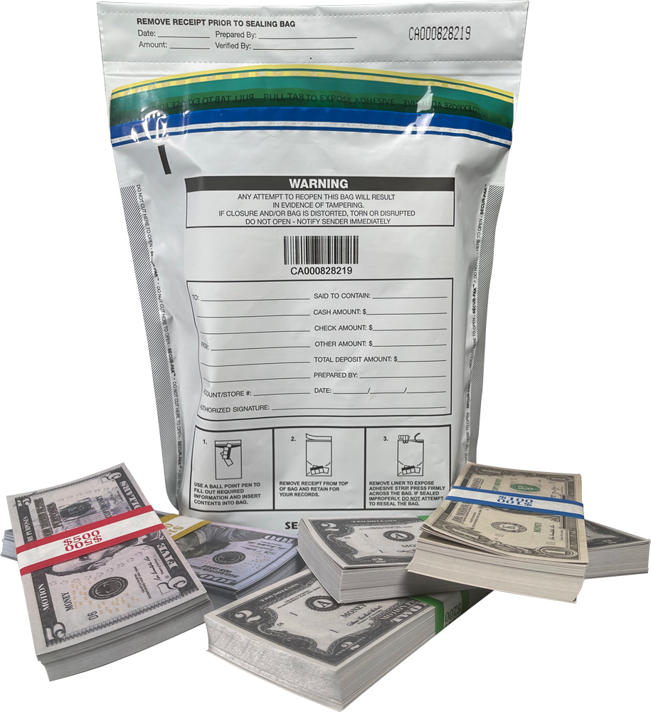 Secur-Pak Security Bag 9 x 12