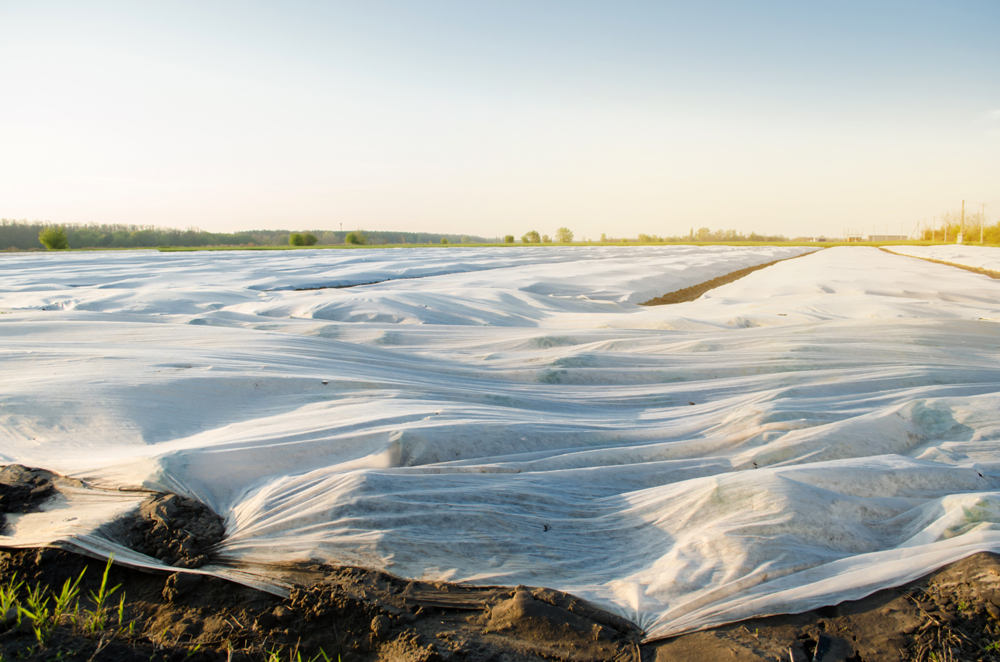 Natural Plastic Sheeting on field