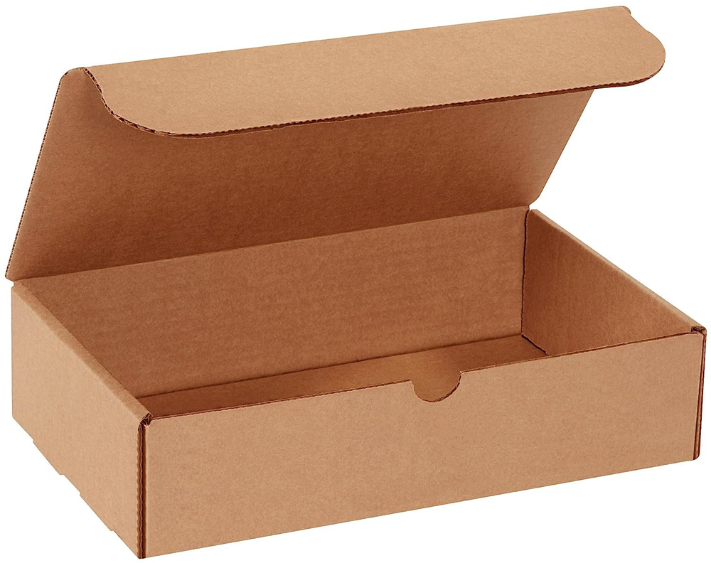 Kraft 11x6.5x2.75 literature mailer