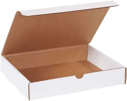11.125" x 8.75" x 2" White Literature Mailers