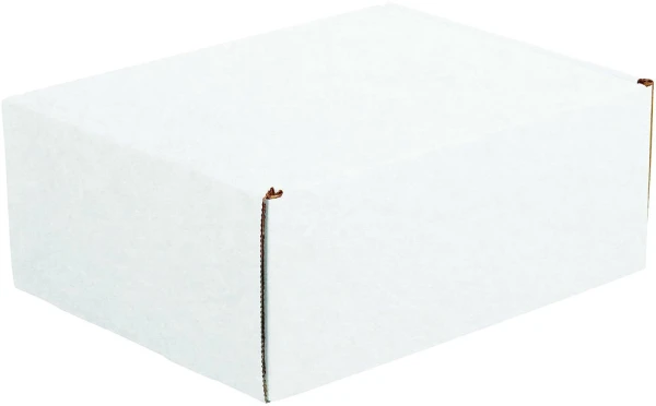 White 11.125x8.75x4 deluxe literature mailer closed
