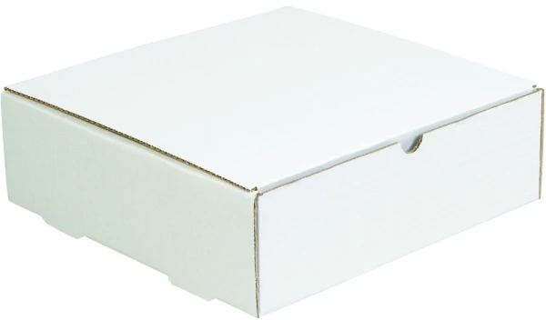 11.5x11.5x3.75 white literature mailer
