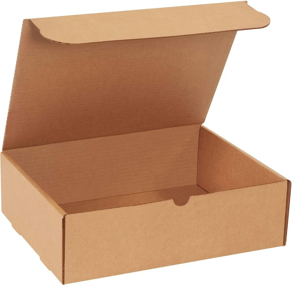 Kraft 13x10x4 kraft literature mailer