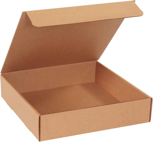 Kraft 13x13x3 literature mailer
