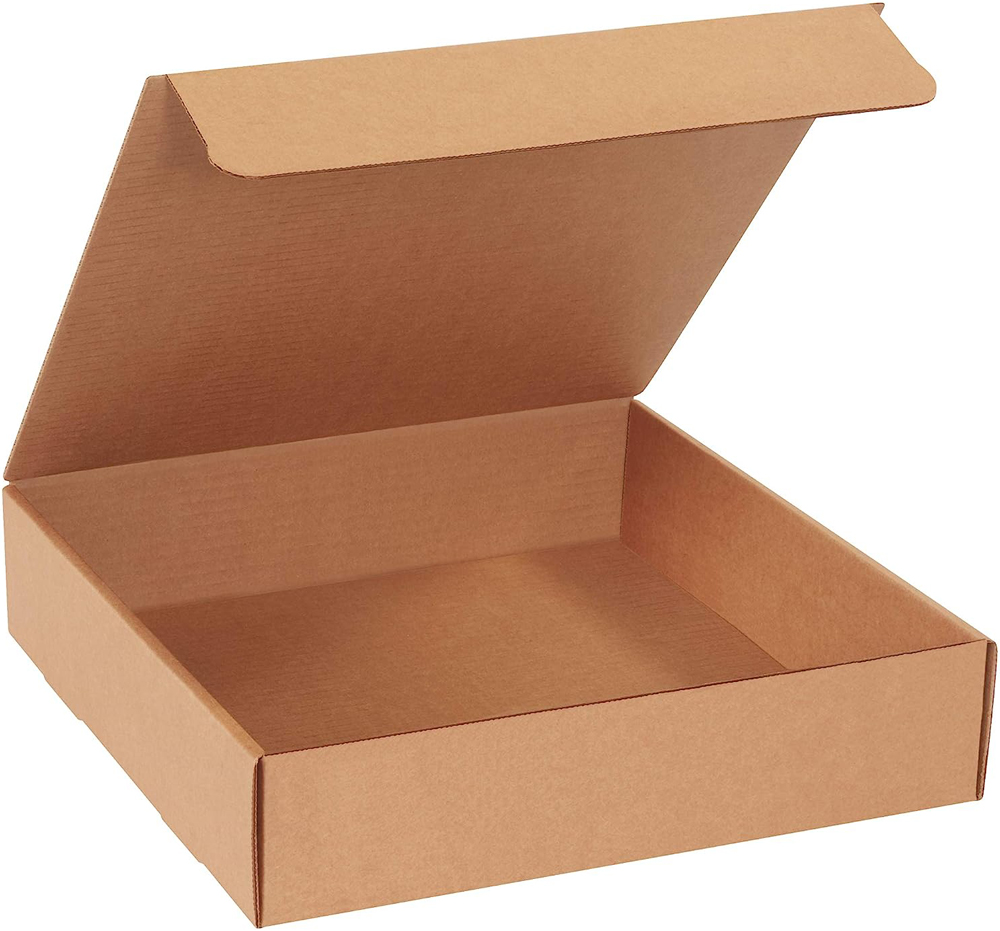 Kraft 13x13x3 literature mailer