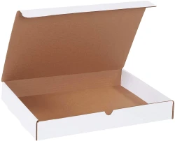 15.125" x 11.125" x 2" White Literature Mailers
