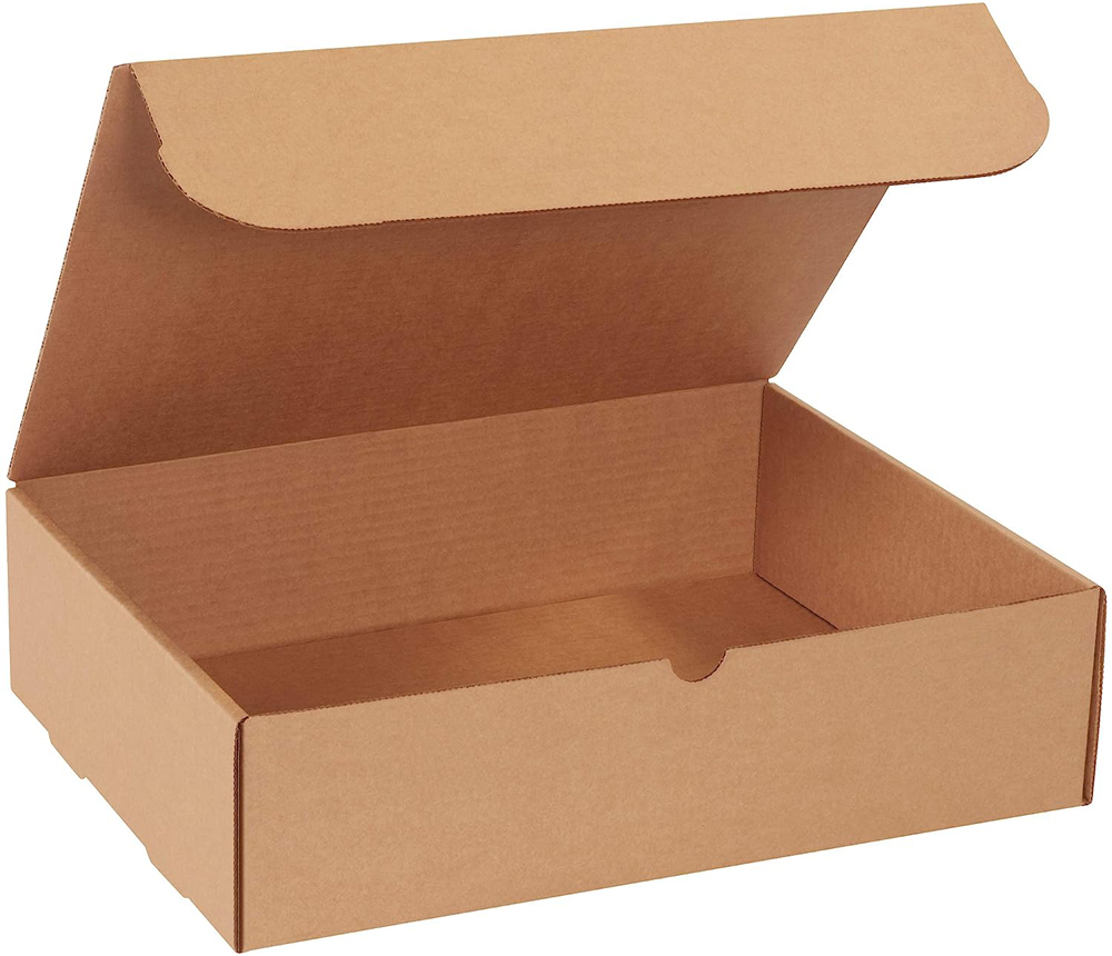 Kraft 15.125 x 11.125 x 4 Literature Mailers