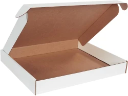 22 x 18 x 2 3/4 Deluxe Literature Mailers