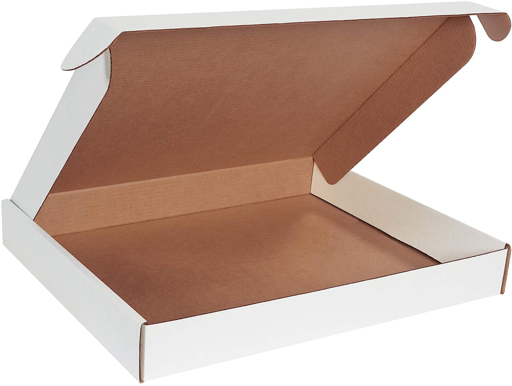 White 22x18x2.75 deluxe literature mailer