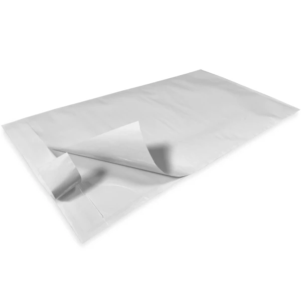 5.5 x 10 Clear Packing List - Packing Envelope Adhesive Backing Close up of 5.5 x 10 Clear Packing List - Packing Envelope Adhesive Backing