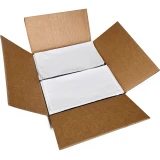 Case of 5.5 x 10 Clear Packing List - Packing Envelope