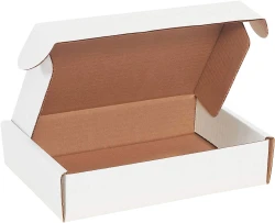 9 x 6 1/4 x 2 Deluxe Literature Mailers