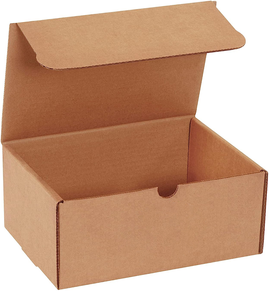 Kraft 9x6.5x4 literature mailer