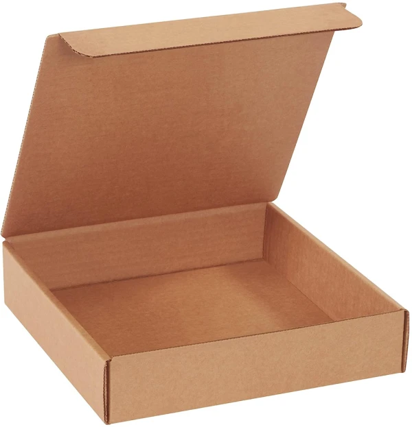 Kraft 9x9x2 literature mailer