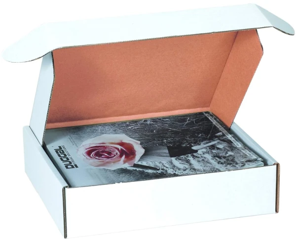 9x6.5x2.75 Deluxe Literature Mailer 9 x 6.5 x 2.75 White Cardboard Literature Mailer