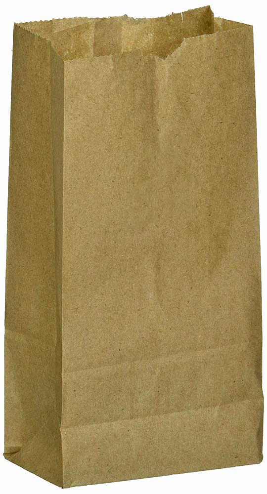 Duro 30 Gallon Self-Standing 2-Ply Printed Natural Kraft Paper Lawn and Leaf  Bag 22453 - 60/Case