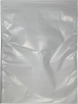 Plastic Deposit Bags 12 x 16 Secur Pak Back