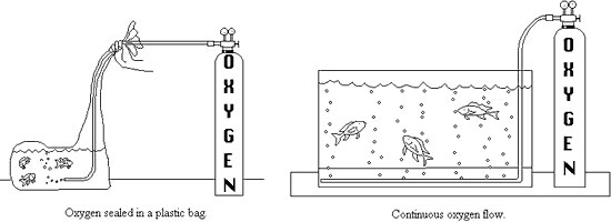 Methods of Transporting Fish