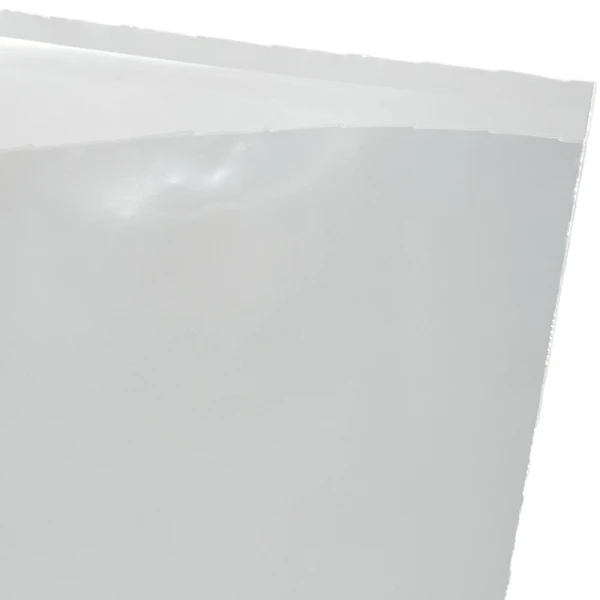 10 x 13 2 Mil Flat Poly Bags Offset Lip 2 Mil 10 x 13 Poly Bags Offset Lip