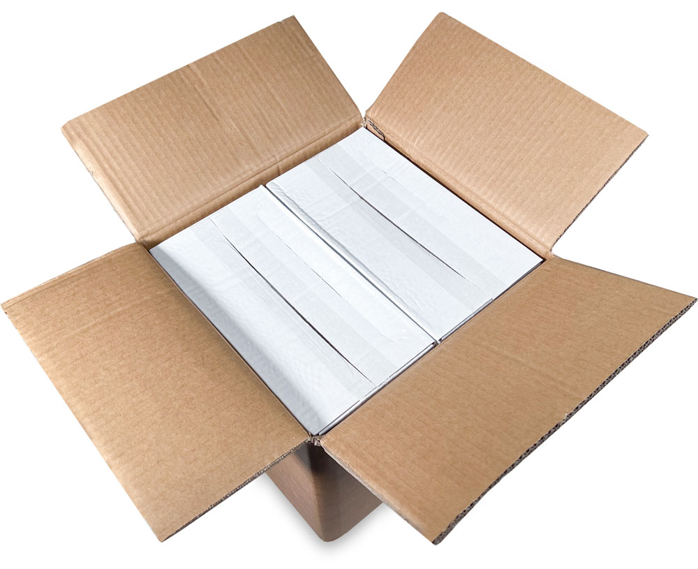 Master Case of 10 x 14 Plastic Utility Bags 0.75 mil