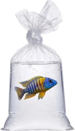 12" x 18" 2 Mil Flat Poly Bags