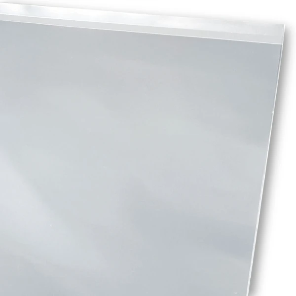 Offset Lip of 3 Mil 12 x 18 Poly Bags